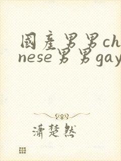 国产男男chinese男男gaygay网站