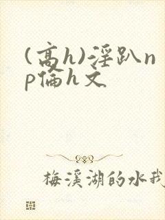 (高h)淫趴np伦h文