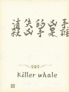 消失的凶手剧本杀凶手是谁