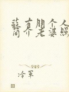 苏有朋个人资料简介老婆照片封面