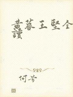 黄蓉王坚全文阅读