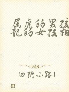 属虎的男孩和属龙的女孩相配吗