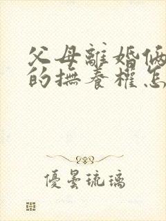 父母离婚俩孩子的抚养权怎么判定