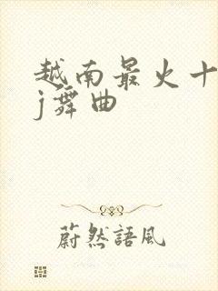 越南最火十大dj舞曲