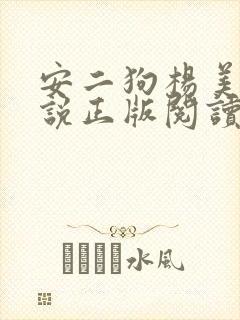 安二狗杨美玲小说正版阅读