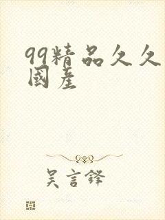 99精品久久久国产