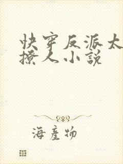 快穿反派太宠太撩人小说封面