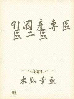 91国产专区一区二区