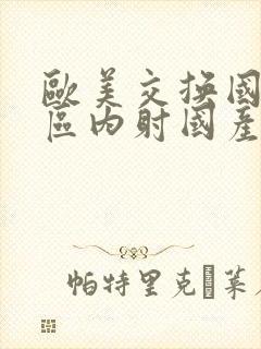 欧美交换国产一区内射国产一区二区女内射