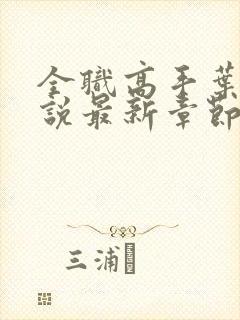 全职高手叶修小说最新章节下载