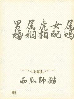 男属虎女属龙的婚姻相配吗
