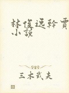 林俊逸干贾静雯小说封面