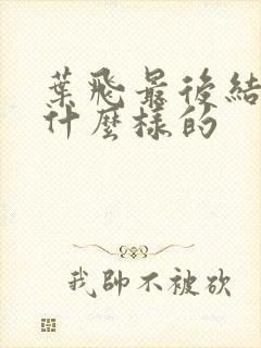 叶飞最后结局是什么样的