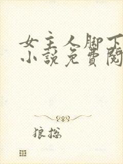 女主人脚下的狗小说免费阅读