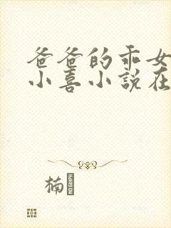 爸爸的乖女儿林小喜小说在线阅读封面