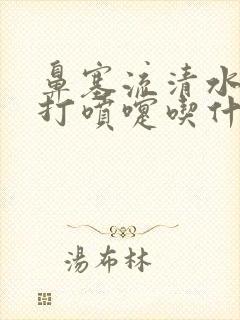 鼻塞流清水鼻涕打喷嚏吃什么药