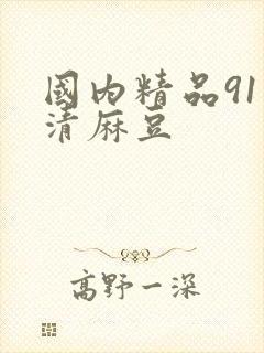 国内精品91高清麻豆