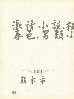 激情小说,校园春色,另类小说