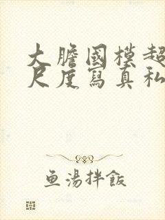 大胆国模超超大尺度写真私拍在线播封面