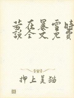 若在暴雪时分小说全文免费阅读