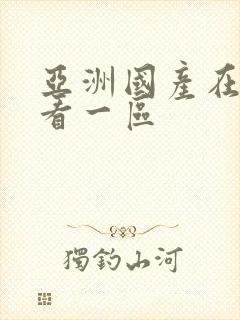 亚洲国产在线观看一区