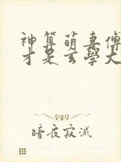 神算萌妻傅太太才是玄学大佬