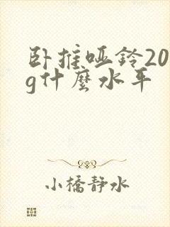 卧推哑铃20kg什么水平