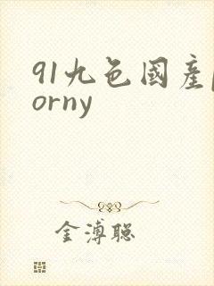 91九色国产porny