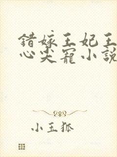 错嫁王妃王爷的心尖宠小说