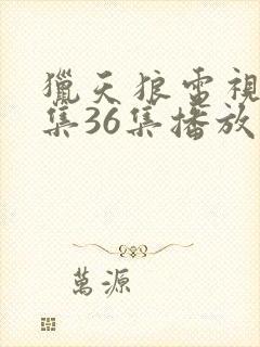 猎天狼电视剧全集36集播放