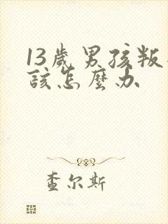 13岁男孩叛逆该怎么办封面