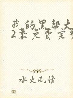 我的黑帮大佬第2季免费完整版