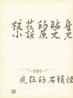 校花的贴身高手小说原文免费阅读