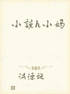小说h小妈