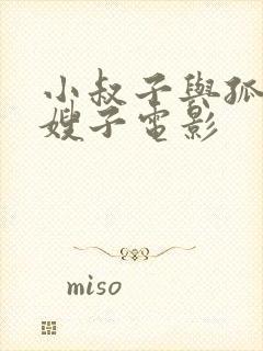 小叔子与孤独的嫂子电影