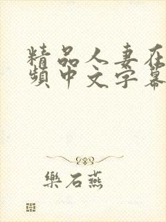 精品人妻在线视频中文字幕