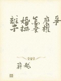 离婚怎么争夺孩子抚养权