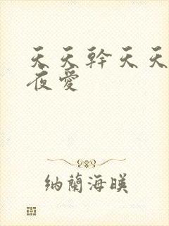 天天干天天爽夜夜爱封面