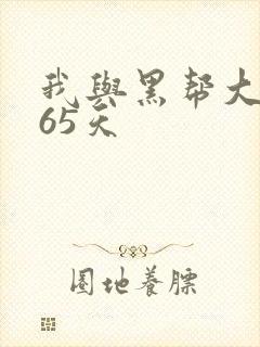 我与黑帮大佬365天