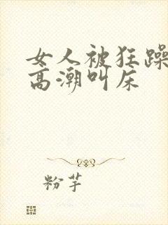 女人被狂躁c到高潮叫床