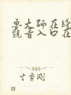 鲁大师在线播放观看入口在线播放