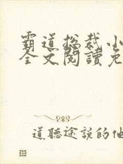 霸道总裁小娇妻全文阅读免费封面