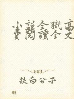 小说全职高手免费阅读全文无窗口