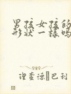 男孩女孩的胚胎形状一样吗