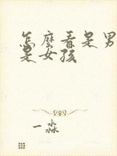 怎么看是男孩还是女孩封面