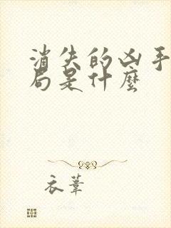 消失的凶手大结局是什么