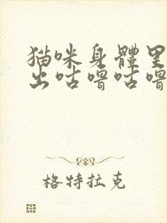 猫咪身体里面发出咕噜咕噜的声音