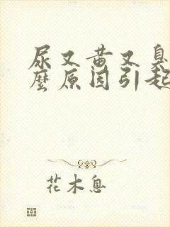 尿又黄又臭是什么原因引起的封面