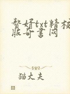 赘婿txt精校版奇书网