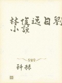 林俊逸日刘晓莉小说封面